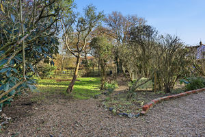 Photo 24- click for photo gallery